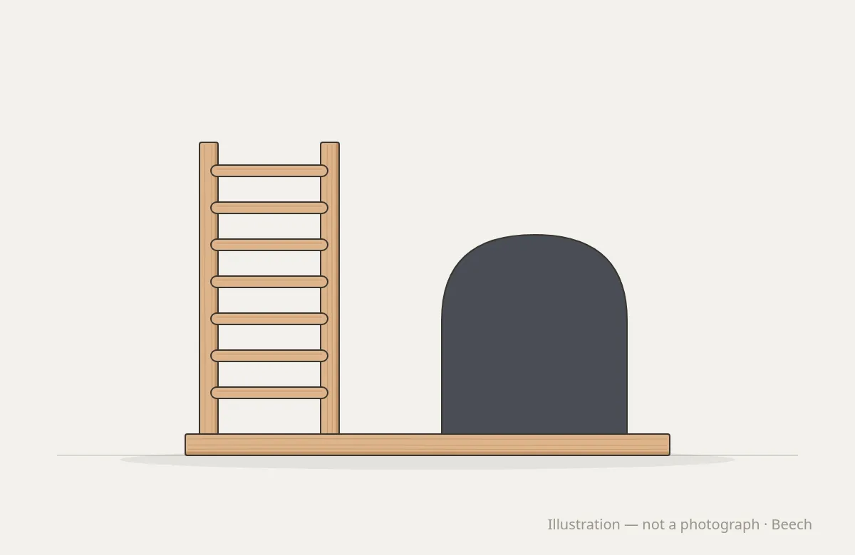 Ladder Barrel Studio Pro — illustration, not a photograph
