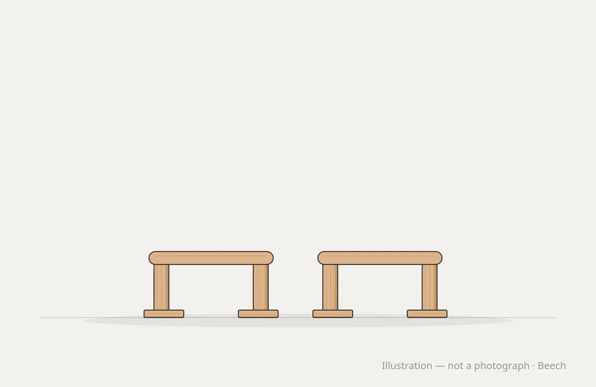 Studio Strength Parallettes — illustration, not a photograph