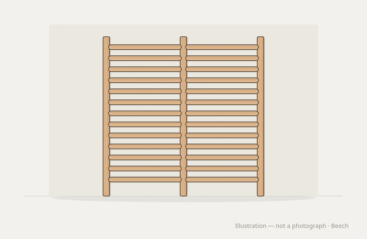Studio Strength Wall Bars Double — illustration, not a photograph